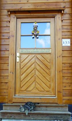 Pine door, fishtail paneling