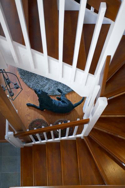 White painted pine stairs with stained birch steps